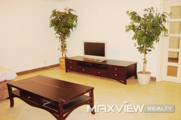 Vizcaya   |   维诗凯亚 4bedroom 450sqm ¥65,000 PDV01410L