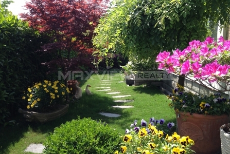 Lu Boa Garden | 绿波花园 5bedroom 350sqm ¥28,000 SH014271