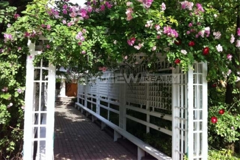 Windsor Park 温莎花园
