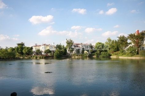 Violet Country Villa   |   西郊紫郡 5bedroom 388sqm ¥44,000 QPV01840