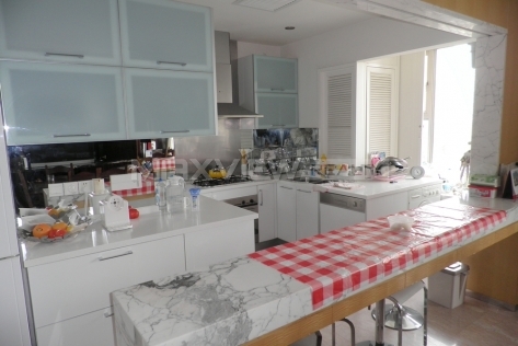 Lakeville at Xintiandi   |   翠湖天地 3bedroom 243sqm ¥40,000 LWA00431D