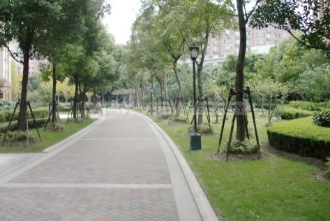 Dawn Garden   |   晓园 3bedroom 178sqm ¥22,000 PDA10338