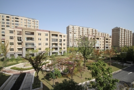 Tomson Garden   |    汤臣豪园 4bedroom 230sqm ¥27,000 SH012015
