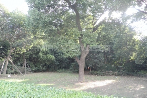 Old Lane House on Zhenning Road 3bedroom 220sqm ¥28,000 SH006204