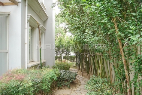 Luoshan Oasis Villa   |   罗山绿洲别墅   5bedroom 270sqm ¥30,000 PDV00267