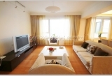 Skyline Mansion 3bedroom 195sqm ¥43,000