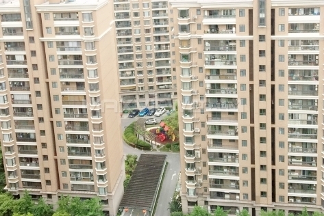 Deluxe Family   |   华丽家族 5bedroom 333sqm ¥55,000 SH015440