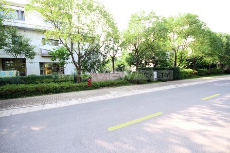 Tomson Riviera Garden   |   汤臣湖庭花园 5bedroom 400sqm ¥45,000 PDV01043