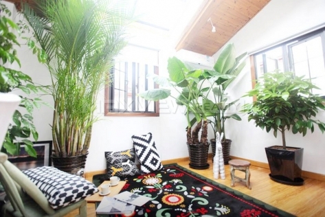 Old Lane House on Yongkang Road 2bedroom 100sqm ¥20,000 SH016057