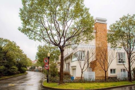 Attractive 5br 300sqm Green Hills house in Shanghai 5bedroom 300sqm ¥60,000 PDV01587