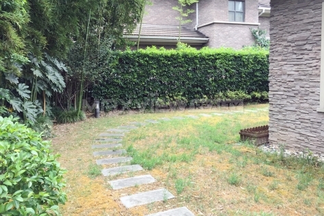 Tiziano Villa   |   提香别墅 4bedroom 400sqm ¥38,000 PDV01239