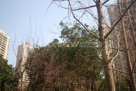 Yanlord Riverside Garden 仁恒河滨花园