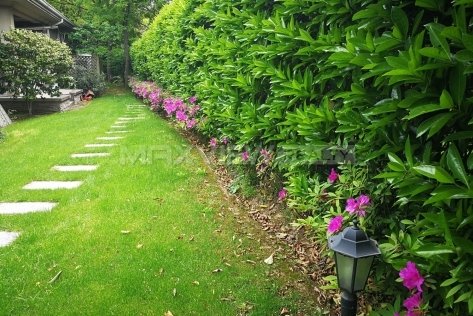 Housing Shanghai Tiziano Villa 6bedroom 390sqm ¥47,000 SH017545