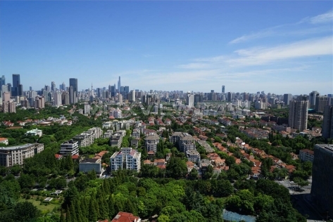 Belgravia Place 7bedroom 470sqm ¥75,000 SH017821