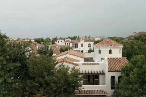 Vizcaya   |   维诗凯亚 4bedroom 450sqm ¥63,000 SH005568