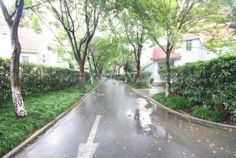 Luxury Villa for Rent in the Shanghai Age 4bedroom 335sqm ¥38,000 PRS927