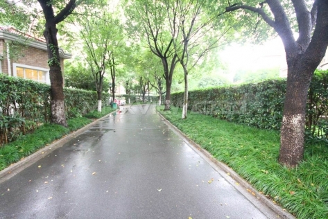 Luxury Villa for Rent in the Shanghai Age 4bedroom 335sqm ¥38,000 PRS927