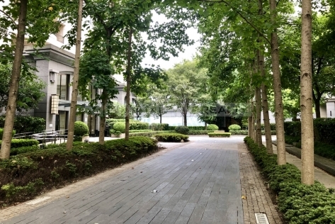 City Castle 远中风华