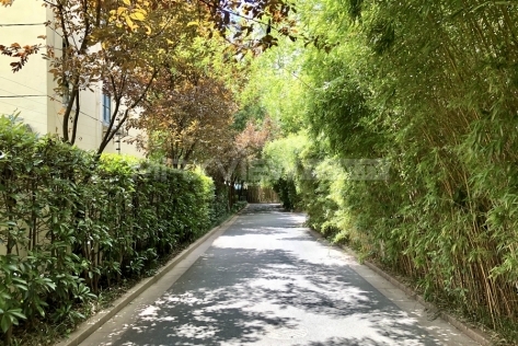 Grand Riverside Garden 新天地河滨花园