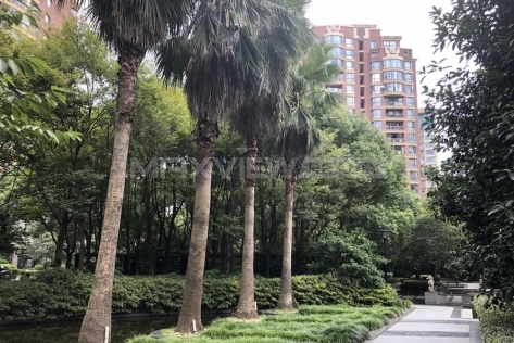 Gubei Qiangsheng Garden 古北强生花园
