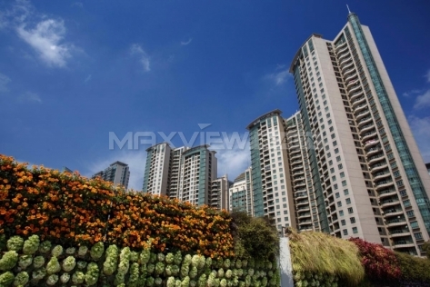 Jing’an Four Seasons 静安四季