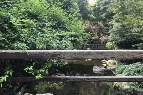 Ladoll International City 国际丽都城
