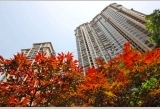 Grand Jewel Apartment 君御豪庭 -bedrooms ¥0-0/month