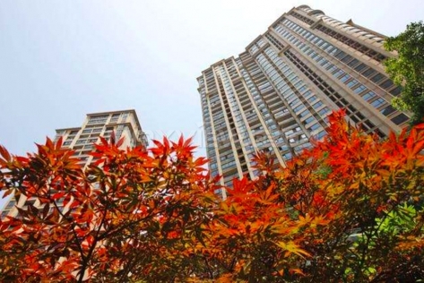 Grand Jewel Apartment 君御豪庭