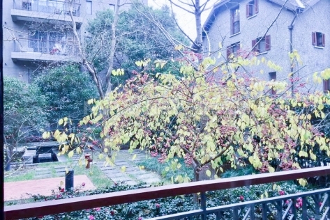 Sinan Mansion 4bedroom 260sqm ¥55,000 PRS2255