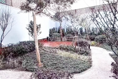 Old Garden House On Shanxi West Road 6bedroom 360sqm ¥65,000 PRS3005