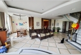 Green Court 5bedroom 400sqm ¥50,000