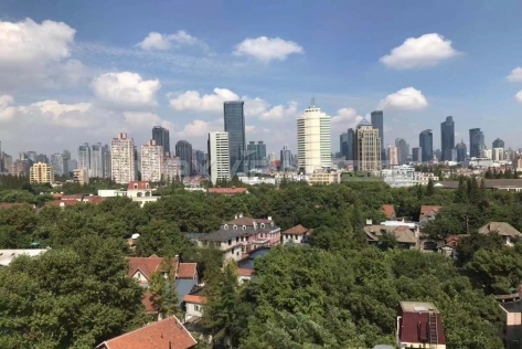 Yishu Apartment Penthouse with Roof Terrace 4bedroom 320sqm ¥100,000 PRY6042