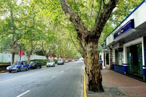Hengshan Road | 衡山路 1bedroom 50sqm ¥12,000 SHL17393