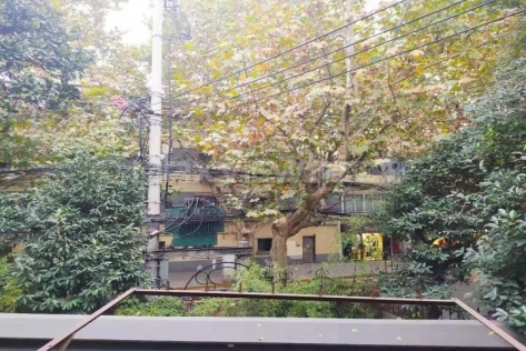 Old Lane House On Changle Road 3bedroom 160sqm ¥45,000 SHL17448