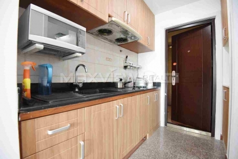 La Residence 1br 60sqm in Downtown | 爱俪轩 1bedroom 60sqm ¥10,500 SHA19356