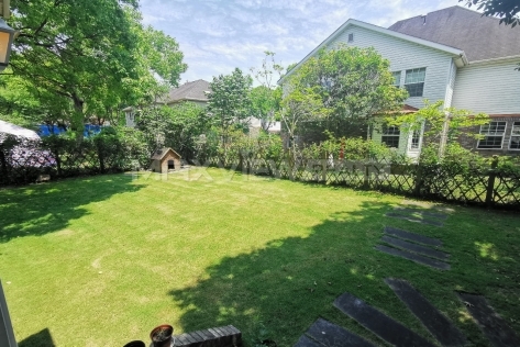 Belle Wood Villa   |   美林别墅 5bedroom 254sqm ¥40,000 SHV19986