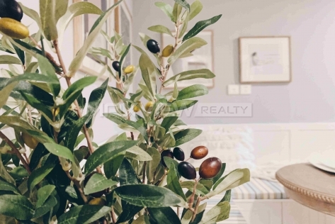 Zhengning Unit | 政宁小区 1bedroom 72sqm ¥12,000 SHA20265